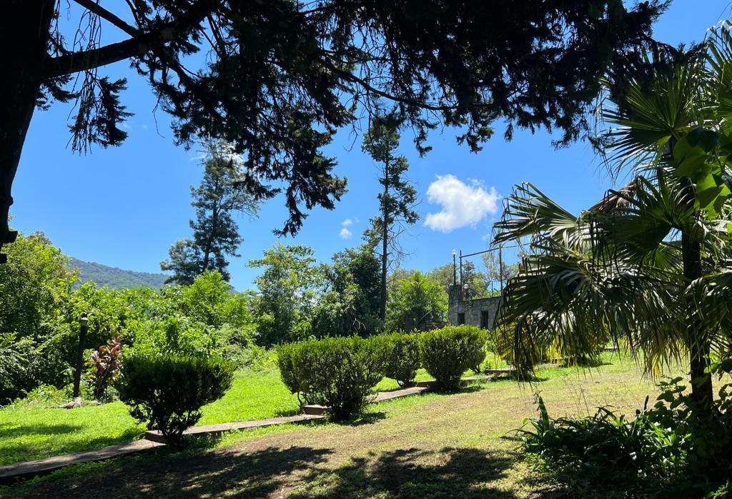 WhatsApp Image 2025-06-16 at 15.41.12 (1)