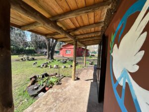 WhatsApp Image 2025-12-19 at 20.45.49 (1)