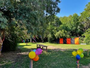 WhatsApp Image 2025-12-19 at 20.46.52